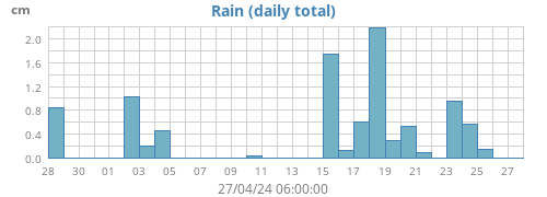 Rain